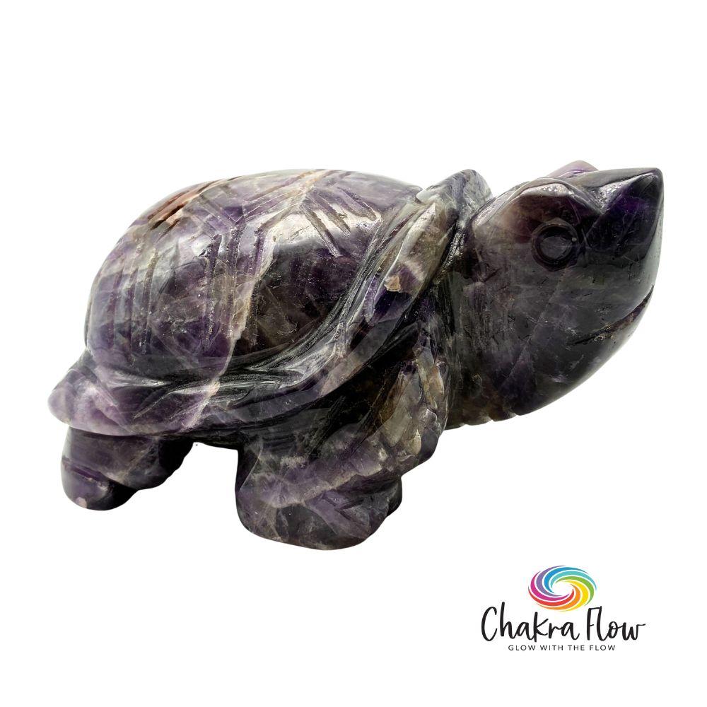 Amethyst Turtle