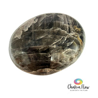 Black Moonstone Palm Stone