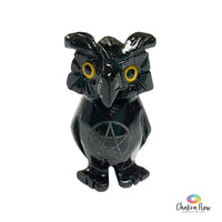 Black Onyx Owl With Pentacle 