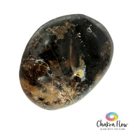 Madagascar Black Opal Palm Stone