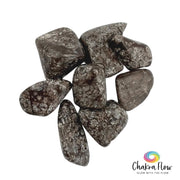 Brown Snowflake Obsidian Tumble