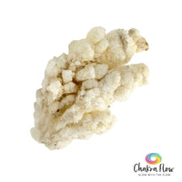 Calcite Stalactite