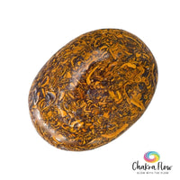 Calligraphy Jasper Palm Stone