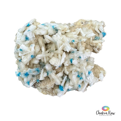 Cavansite on Stilbite 