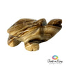 Coke Calcite Turtle