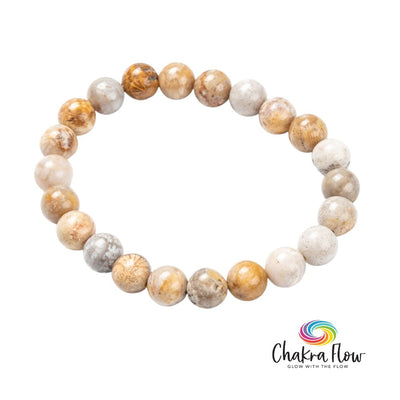 Coral Fossil 8mm Bracelet