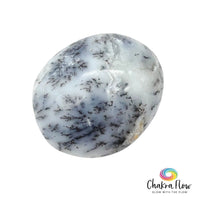 Dendritic Opal Palm Stone