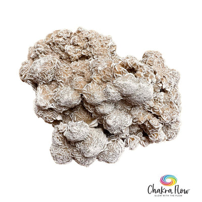 Desert Rose Cluster