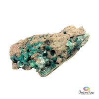 Dioptase Specimen 