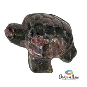 Garnet Sea Turtle