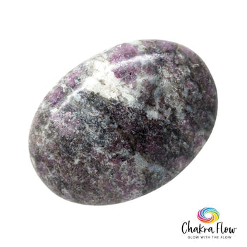 Garnet In Astrophyllite Palm Stone