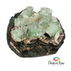 Green Apophyllite Cluster