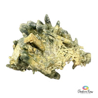 Himalayan Chlorite Quartz Cluster