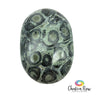 Kambaba Jasper Palm Stone