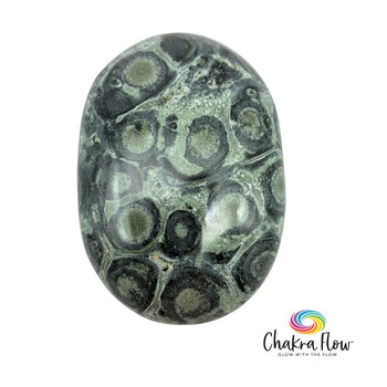 Kambaba Jasper Palm Stone