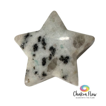 Kiwi Jasper Star