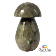 Labradorite Mushroom Massaging Tool