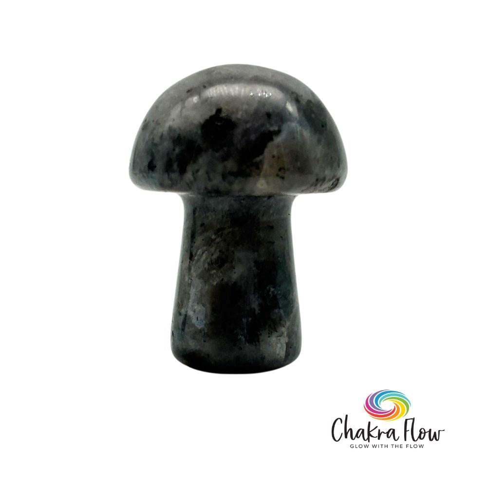 Larvikite Mushroom
