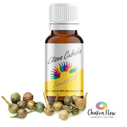 Litsea Cubeba Essential Oil