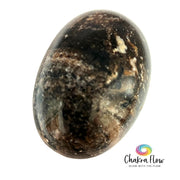 Madagascar Black Opal Palm Stone