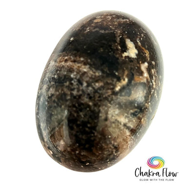 Madagascar Black Opal Palm Stone