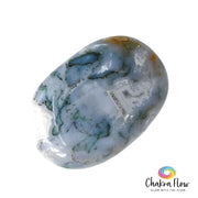 Moss Agate Palm Stone