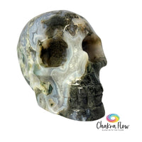 Moss Agate Skull
