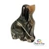 Onyx Dog