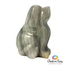 Onyx Dog
