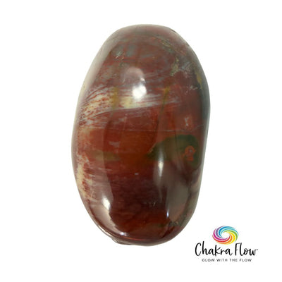 Petrified Wood Palm Stone