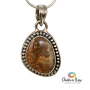 Petrified Wood Sterling Silver Pendant