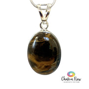 Petrified Wood Sterling Silver Pendant