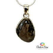Petrified Wood Sterling Silver Pendant