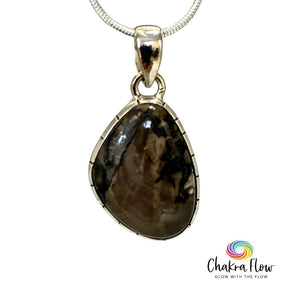 Petrified Wood Sterling Silver Pendant