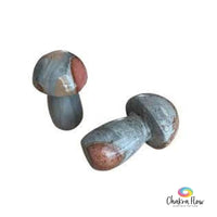 Polychrome Jasper Mushroom