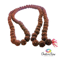 Rudraksha Seeds Mala 12 mm