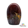 Red Petrified Wood Free Form