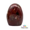Red Petrified Wood Free Form