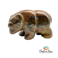 Tiger Iron Roaring Bear