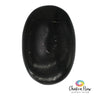 Shungite Palm Stone