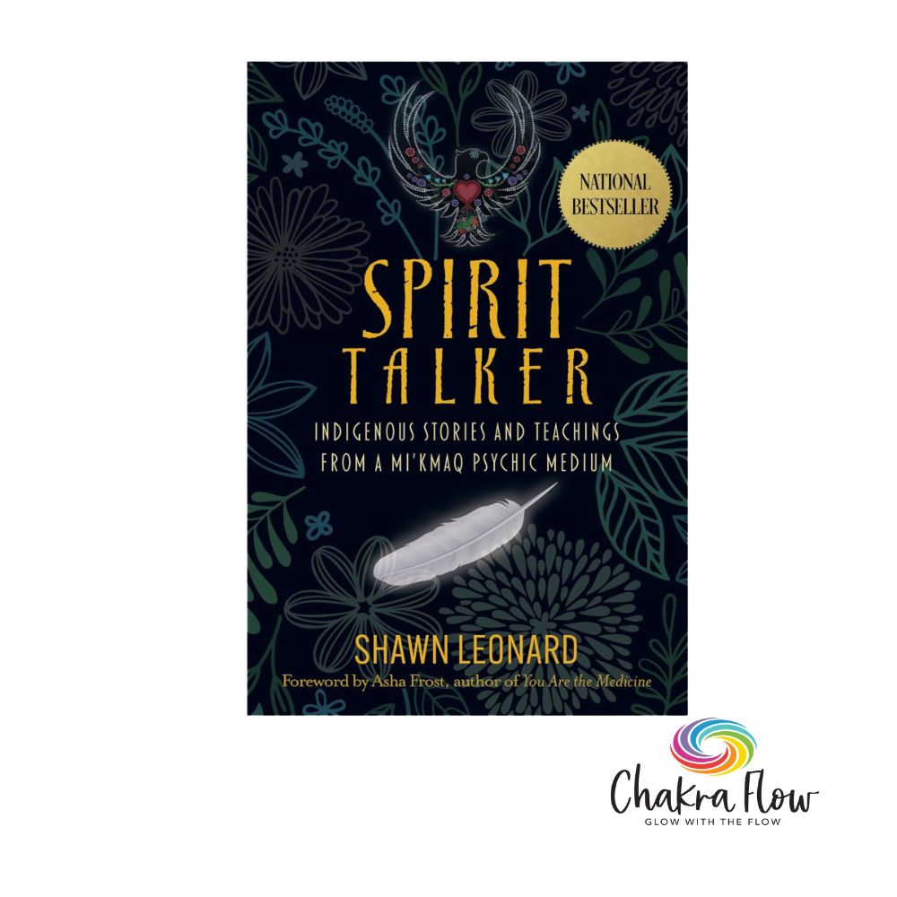 Spirit Talker by Shawn Leonard