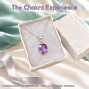 The Chakra Experience