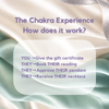 The Chakra Experience