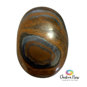 Tiger Iron Palm Stone
