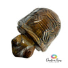 Tiger's Eye Turtle