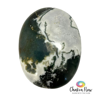Tree Agate Palm Stone