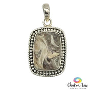 Turritella Agate Sterling Silver Pendant