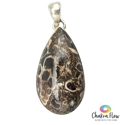 Turritella Agate Sterling Silver Pendant