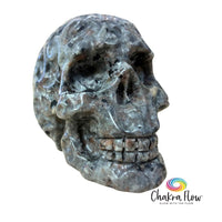 Yooperlite Skull