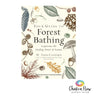 Your Guide to Forest Bathing